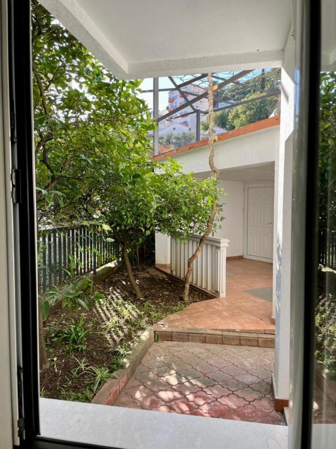 Vila Monte Ξενοδοχείο Μπούντβα Εξωτερικό φωτογραφία